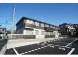 グリーンコモド