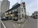 サンフラワーM