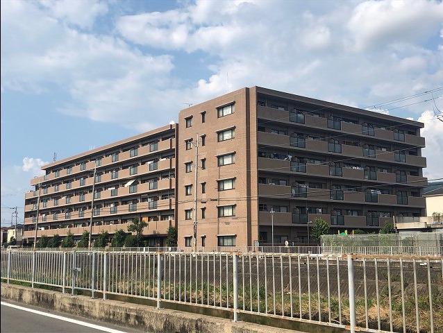 レックス八尾山本