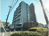 ラフィーネ