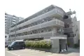NICHERA加美 ニシェラカミ