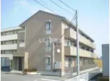 MSハイム