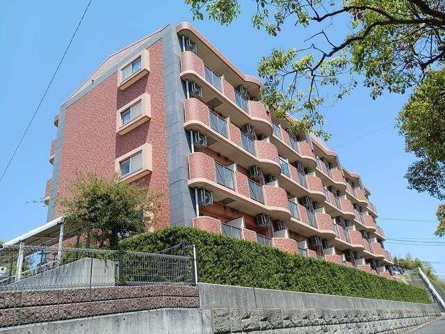 ハミングバード上吉田