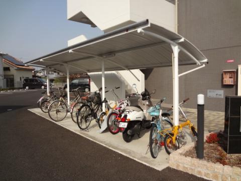カモミール