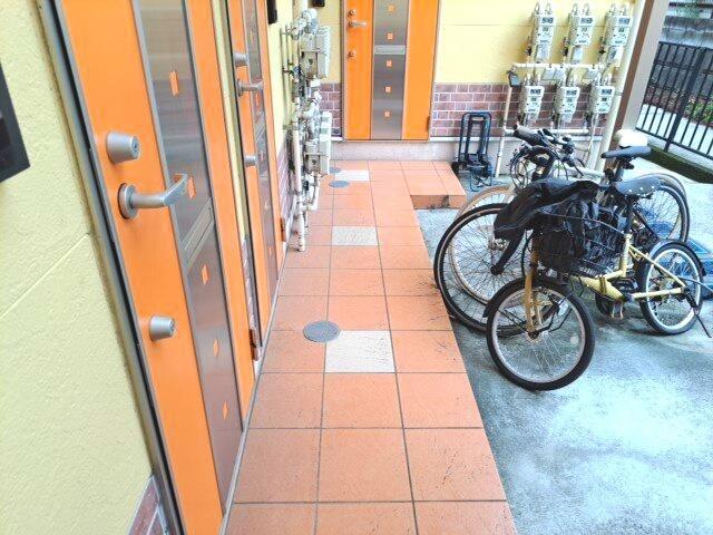 パルメイラ
