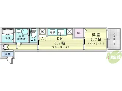EIJU TUKAMOTO(1DK/1階)の間取り写真