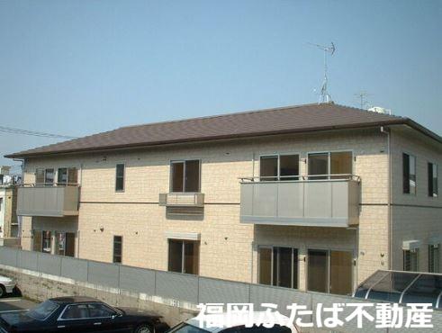 ティアラ麦野