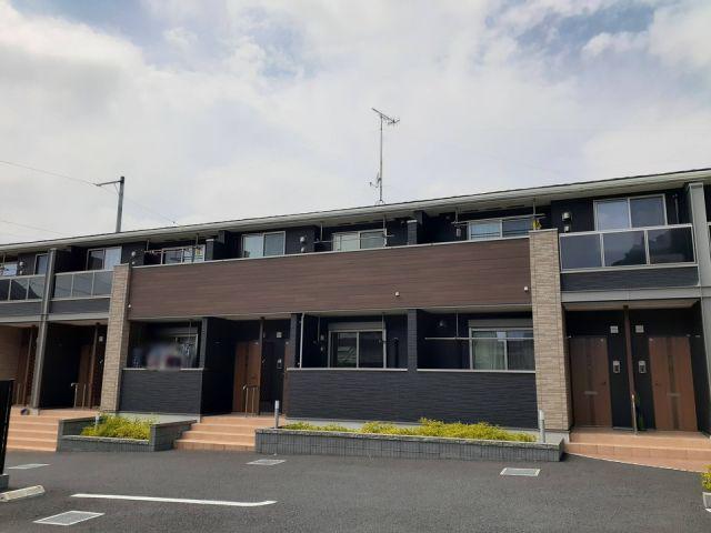 サニーグレイス