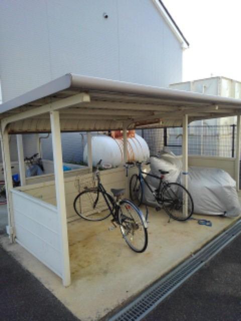 エヴァーグリーンC