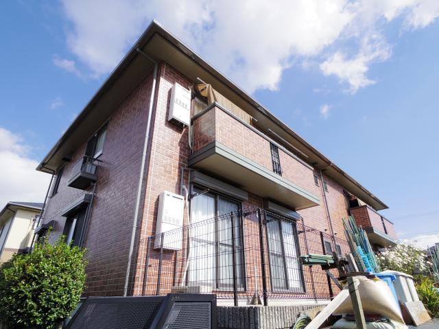 シャンテかしの木