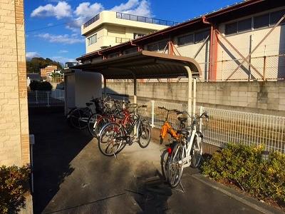 レオパレストレランス