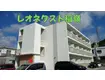 レオネクスト稲嶺(1K/2階)