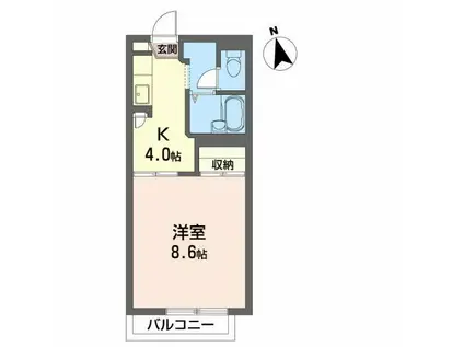プレシオーサ東黒石野(1K/1階)の間取り写真