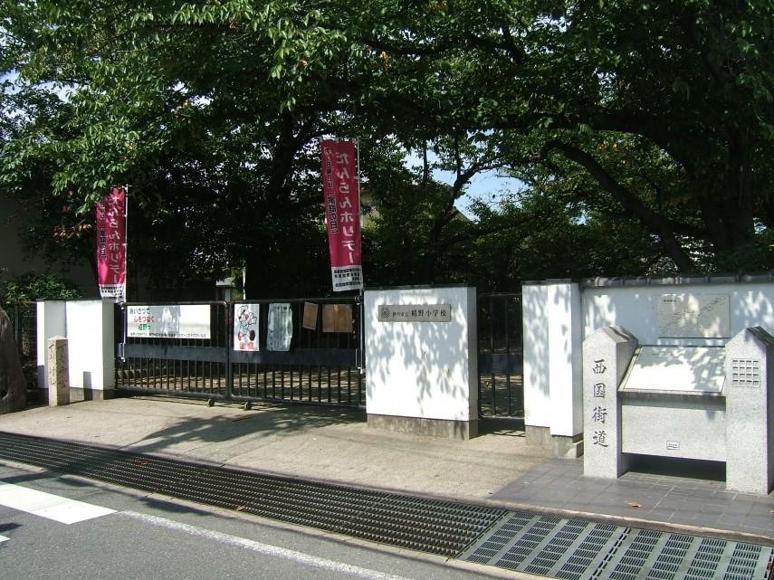 ヒルズ立花(3DK/3階)の周辺写真