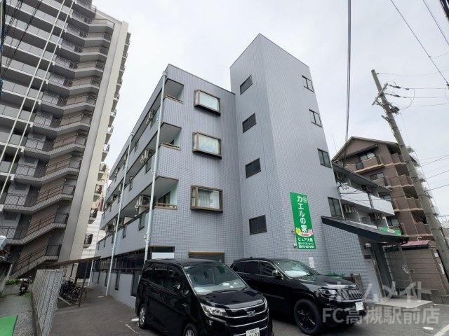 ピュア大畑
