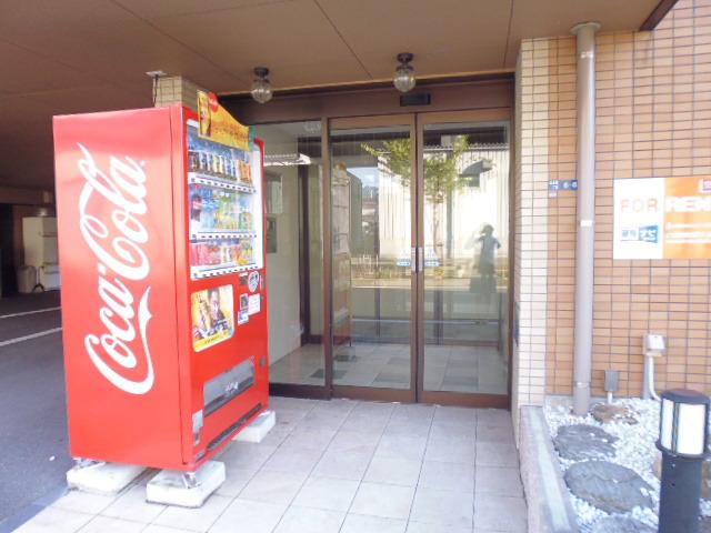 サウスヘヴン