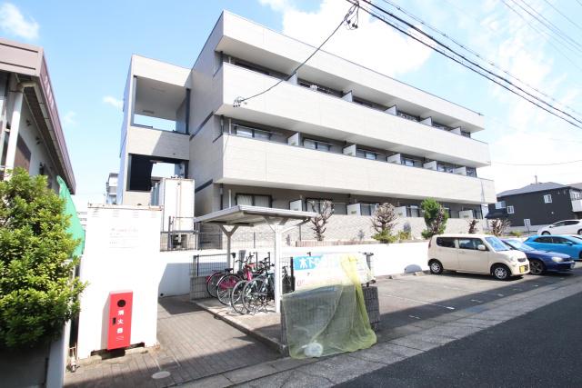 アムール フジ