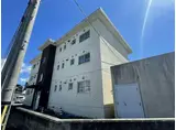 ポチタマたによし