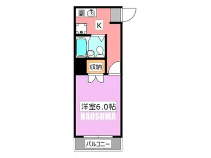 ハイネスR・S(1K/3階)の間取り写真