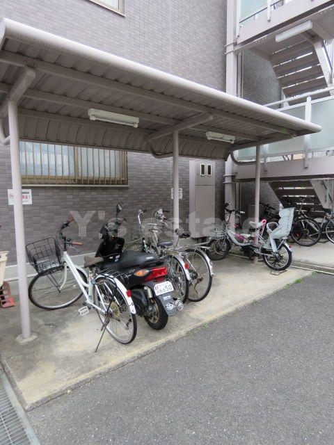 サンジョイ