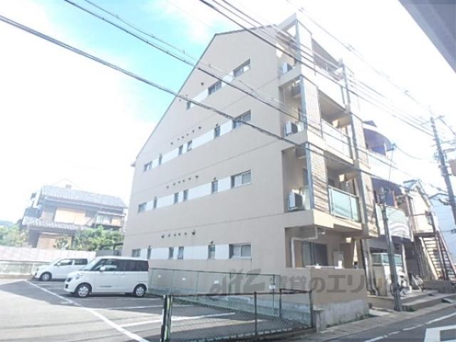 ヴィヴィ モラド