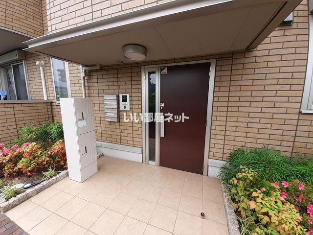 D-ROOM Y