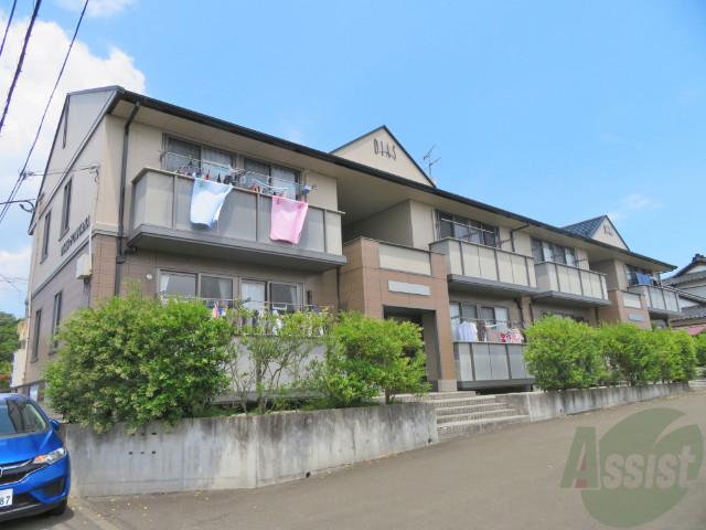 DIAS・FONTANA