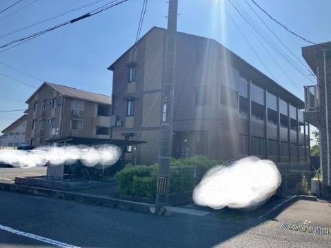 ジュネス・ハーベス