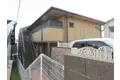 リンデンバーム