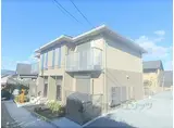 COCOシャカ堂