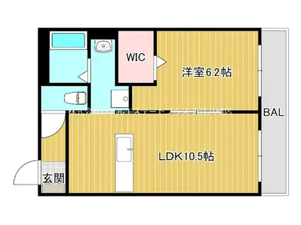 メゾンプレミア(1LDK/1階)の間取り写真