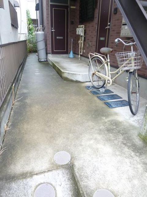 APきゃんどう