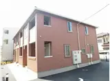プラシード