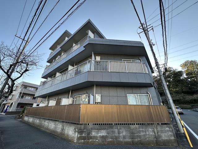 ハイムロベリア
