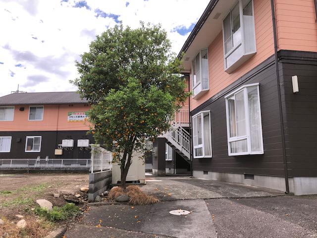 コモンズ原市B