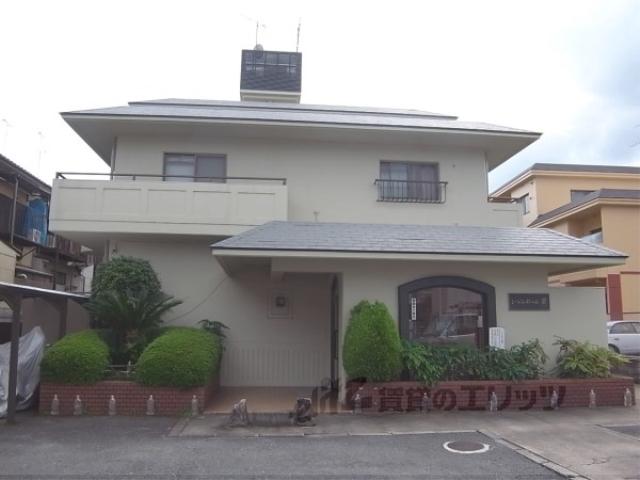 シャンポール蘭