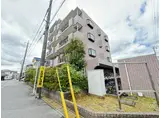 大新ヒルズ