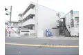 パトラス