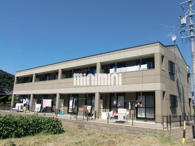 スプランドゥール ティア