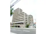 ネオ・プロミネンス