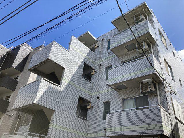 コアオリベ