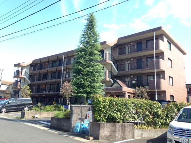 コーラルリーフ