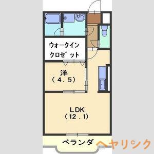 フォレスタIII(1LDK/2階)の間取り写真