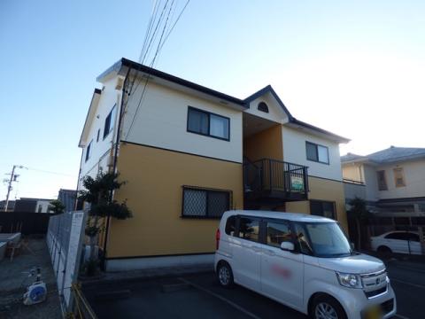 サンフラワー