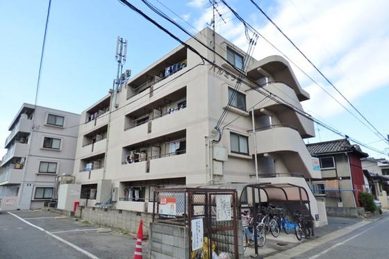 パルミラ 浜