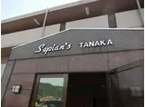 SEPIANS TANAKA