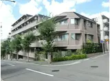 アルシア市が尾