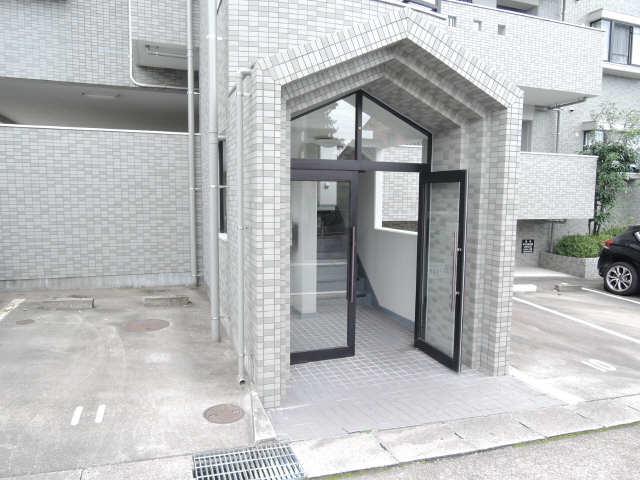 ディスカス原