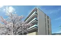 ヴィークコート蕨南町桜並木