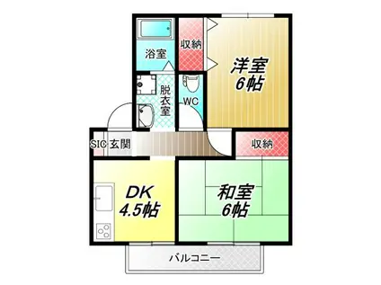 ベルデュール(2DK/1階)の間取り写真